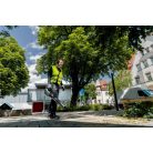 LB 18 LTX BL Akkus lombfúvó, LB 18 LTX BL, A fúvóerő pontos adagolása a fokozatmentesen állítható levegőáramlási sebességnek köszönhetően, Erőteljes, halk akkus lombfújó a levelek és a szennyeződések gyors eltávolításához tereken és utakon